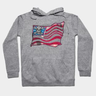 Jolly States of America Hoodie